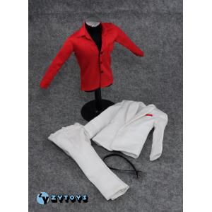 1/6ģ�� ZYTOYS����ɫ��װ��װ