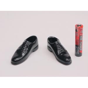 ZYTOYS 1/6 Բͷ��װƤЬ