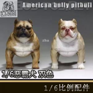 MR.Z - ��������1/6���Ȯ ����