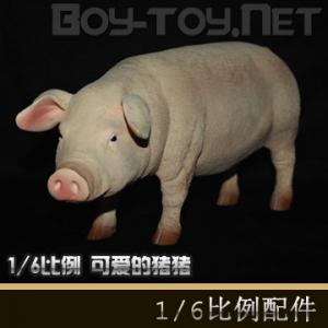 1/6����ģ�� - �� ��ʦ��