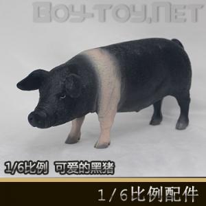 1/6����ģ�� - ����