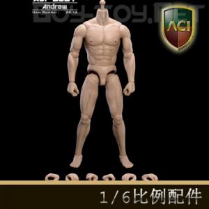 ꡿ACI Toys - 1/6 Andrew () AB-1A
