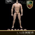 ꡿ACI Toys - 1/6 Andrew () AB-1A