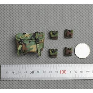 1/6ģ�� �������������׼�