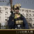 ꡿Easy&Simple - ȫӦԱ GRS/ Agency Globe Response Staff (#.26010)