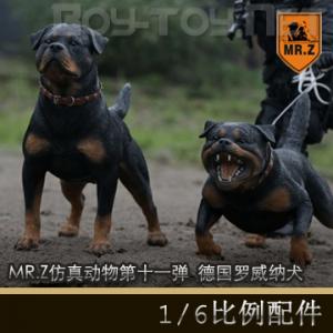 �����꡿MR.Z���涯���ʮһ�� - 1/6���� �¹�������Ȯ 2��