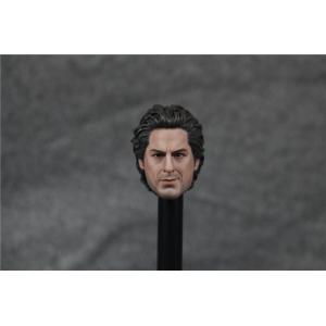 ������������CIAN 1/6ģ�� ����ͷ��