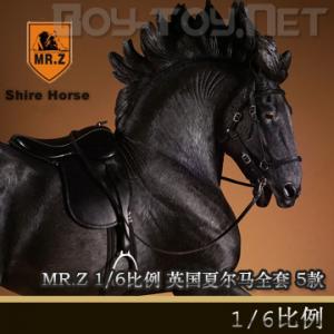 ���ֻ���MR.Z���涯���ʮ���� - 1/6���� Ӣ���Ķ��� ȫ��(5��)&���� (SH001-005)