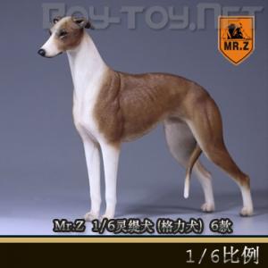 ֻMr.Z涯ʮĵ - 1/6Ȯ (Ȯ) ȫ6 (001-006)
