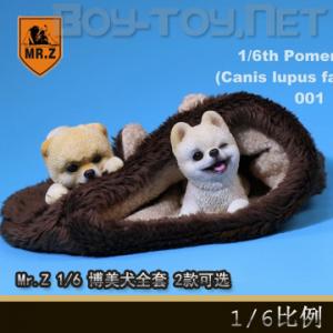 ֻMr.Z 1/6 涯 Ȯȫ 2ѡ (MRZ020)