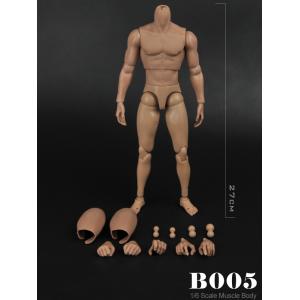 ꡿B005 1/6  ǿ