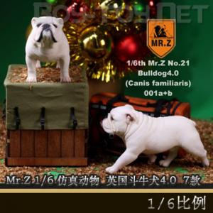 ֻMr.Z 1/6 涯 ڶʮһ ӢţȮ4.0 7