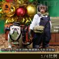 ꡿Mr.Z 1/6 涯 ڶʮ &ţȮװ MRZ023