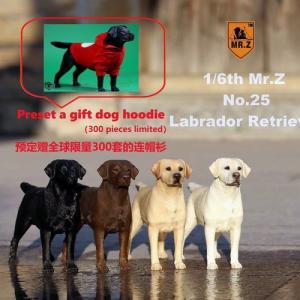 ���ֻ���Mr. Z���涯��ڶ�ʮ�嵯 1/6���� �������� Ѱ��Ȯ 4�� MRZ025