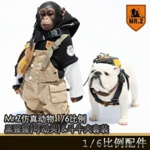 ꡿Mr.Z涯 ڶʮVIP 1/6 (ɶͷ)&ţȮװ MRZ023VIP