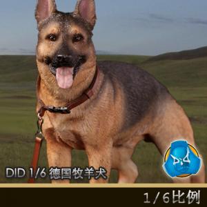 �����꡿DID 1/6���� �¹�����Ȯ (AS003)