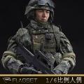 ֻFLAGSET 1/6 йϵ ½j (FS-73019)