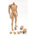 ֻB001 1/6 п Ƥɫ խ BODY 2019