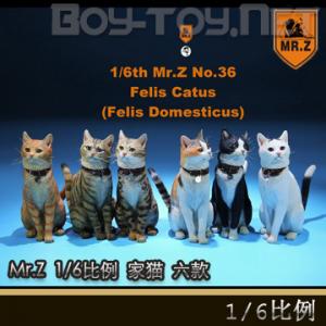 ֻMr. Z涯ģ͵36 1/6 è ȫ6ɫ MRZ036