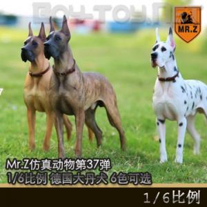ֻMr.Z涯371/6 ¹Ȯ 6ɫѡ MRZ037