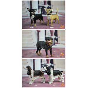 ��Ԥ����SGTOYS 1/6���� ���涯�� S-010 ������/S-011 ������/S-012 ʷ����Ȯ ����