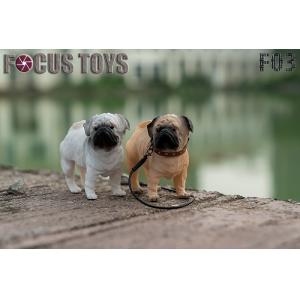 ��Ԥ����FOCUS TOYS (F03) 1/6���˶���ģ�� ���ﹷ ���͹� ��ɫ��ѡ