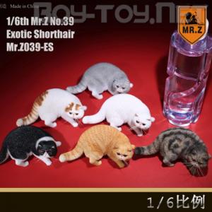 ֻMr.Z涯39 1/6 ëè ȫ6ɫ (ֲ) MRZ039