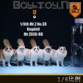 ֻMr.Z涯38 1/6 żè ȫ5ɫ(ֲ) MRZ038