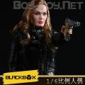 ֻBLACKBOX ں (BBT9012) 1/6˭ϵ 