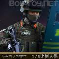ԤFLAGSET (FS73028) 1/6йϵ װ첿 ӵܱ