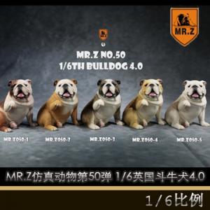 ֻMR.Z涯50 MRZ050 1/6 ӢţȮ4.0 5ɫ