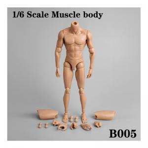 ���ֻ���B005 1/6���� �п������ 2020����������