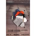 ԤCCTOYS CC010 1/6 п˶ñ ˶ 5