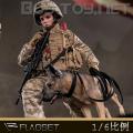 ֻFLAGSET FS73042 1/6 ½ս ŮѵԱ