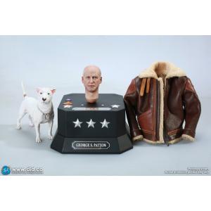 ���ֻ���DID E60071 1/6���� �Ͷٽ���������� ������ż