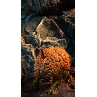 ��Ԥ�����������ӹ����� 1/6���� DND���Թ�