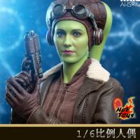 ԤHot Toys TMS113 1/6.