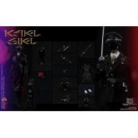 ��Ԥ����TIGERTOYS TT2206 1/6���� ��������Ů �ɶ���ż