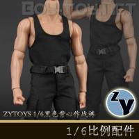 ���ֻ���ZYTOYS ZY16-12 1/6���� ��ɫ������ս��