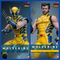ԤHot Toys MMS753/754ǡ ͨ/