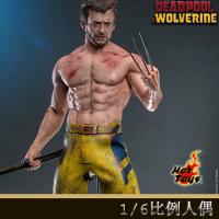 �����꡿Hot Toys MMS756 1/6���������������ǡ������(TVA�Ʒ���)