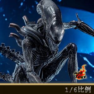 ��Ԥ����Hot Toys MMS784 1/6����������:������������