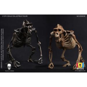 Ԥ101TOYS 1/12 ES003A/B/C Ͼϵ ùǼ