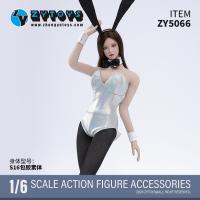 ֻZYTOYS ZY5066 1/6 ŮŮɷװ