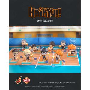 ���ֻ���Hot Toys CBX288����������!!��COSBIä��������ż