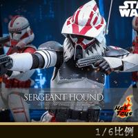 ��Ԥ����Hot Toys TMS167 1/6�����������ս:��¡��ս������Ȯ��ʿ