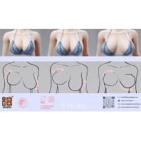 ��Ԥ����I8TOYS I8-FB-002A/B 1/6���� �ֹǼܲ���轺ȫ��������"��" �����ѡ