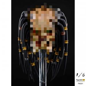 ��Ԥ����Figurekit LAB FK001 1/6���� ���ַ��������׼� ��ż���