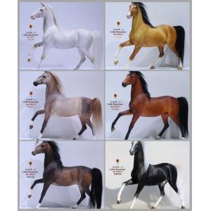 ��Ԥ����Mr.Zģ�͹����ҵ�62�� MRZ062 1/6���� ������2.0�� 6��ɫ