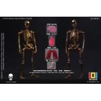 ��Ԥ����101TOYS ES025-027 1/12���� ���Ͼ���ϵ�� ���ùǼ����� �޶���2��/��װ